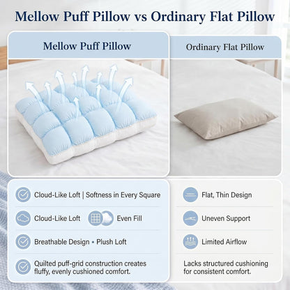 FrostCloud Fluffy Cloud Pillow